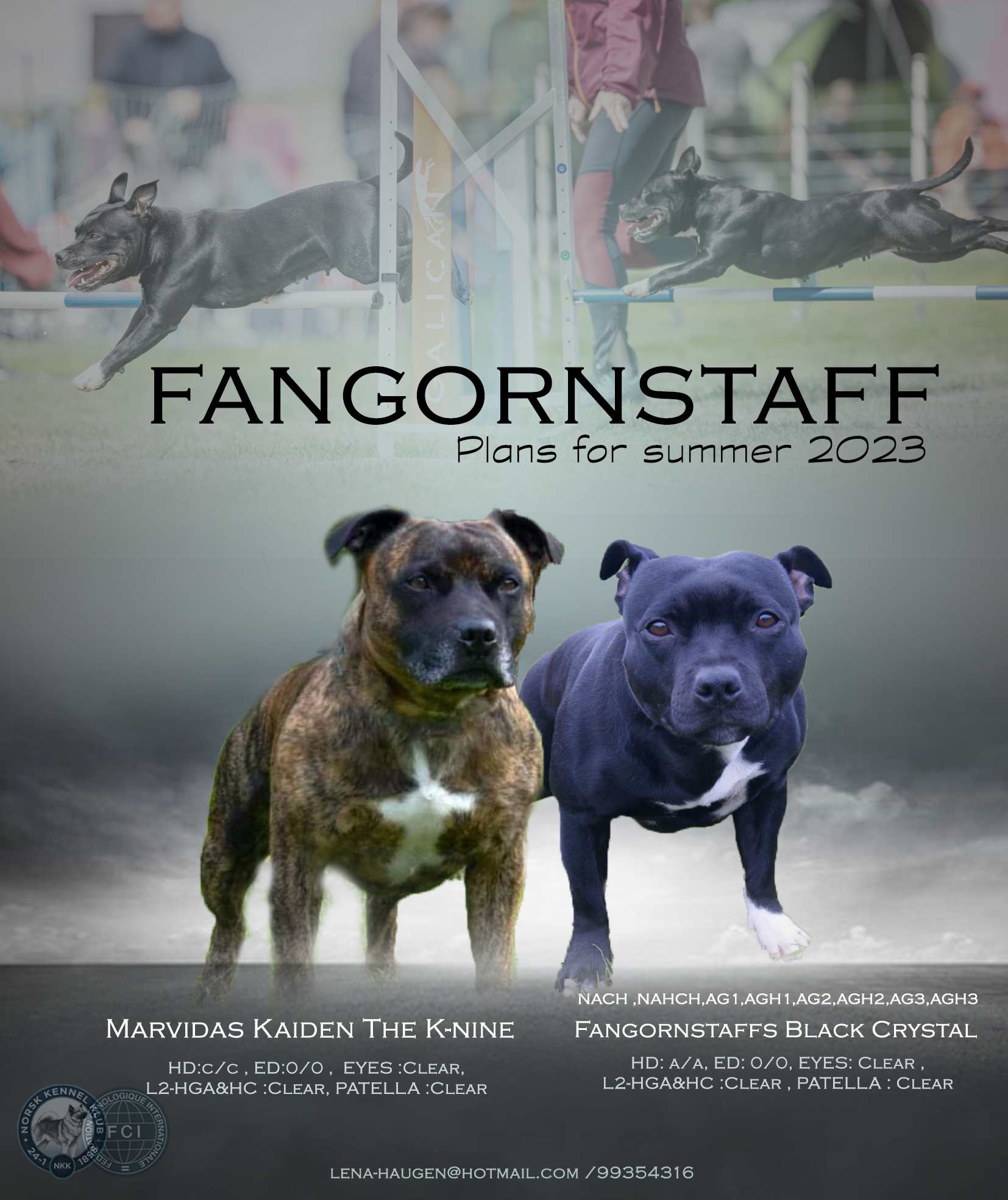 Velkommen til Fangornstaff